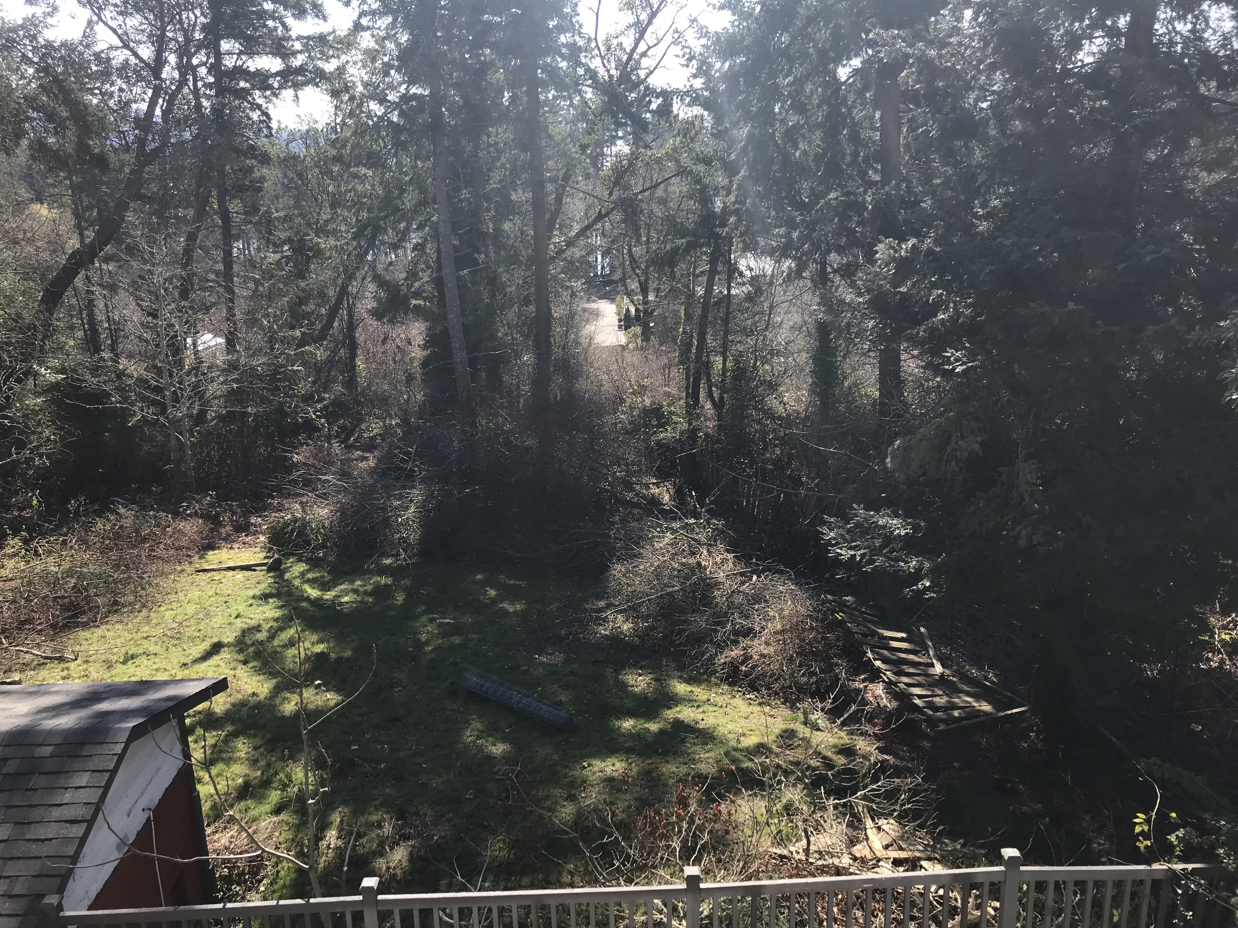 Almost done – raised beds, cleared property